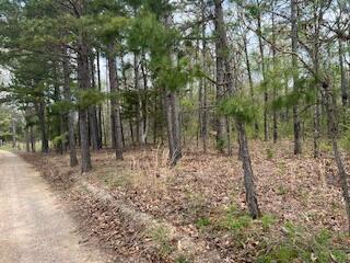 0000 Edgemond Dr, Hartshorn, MO 65479