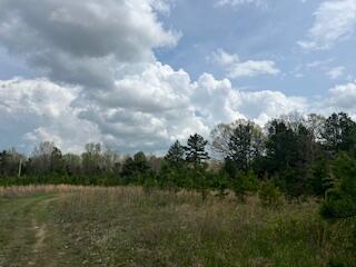 0000 Edgemond Dr, Hartshorn, MO 65479