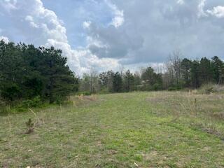 0000 Edgemond Dr, Hartshorn, MO 65479