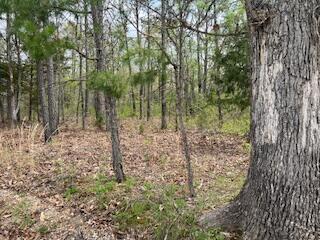 0000 Edgemond Dr, Hartshorn, MO 65479