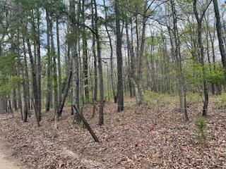 0000 Edgemond Dr, Hartshorn, MO 65479