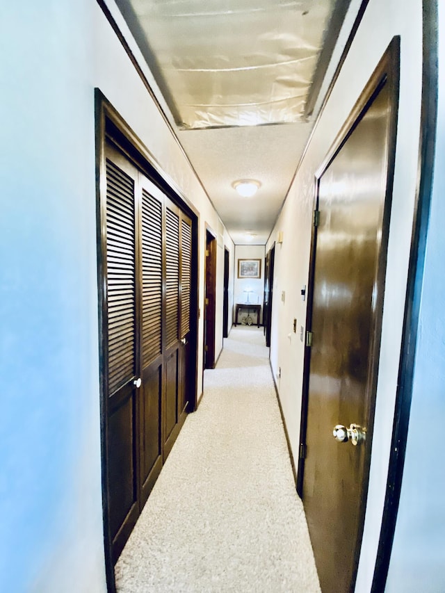 hall with light carpet