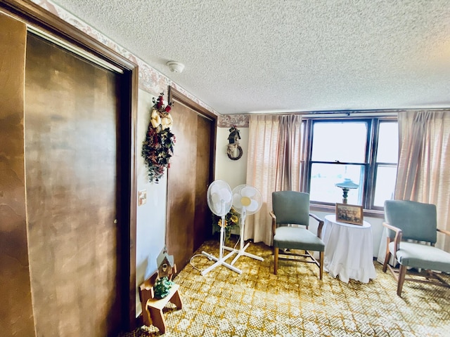 living area featuring a textured ceiling and carpet