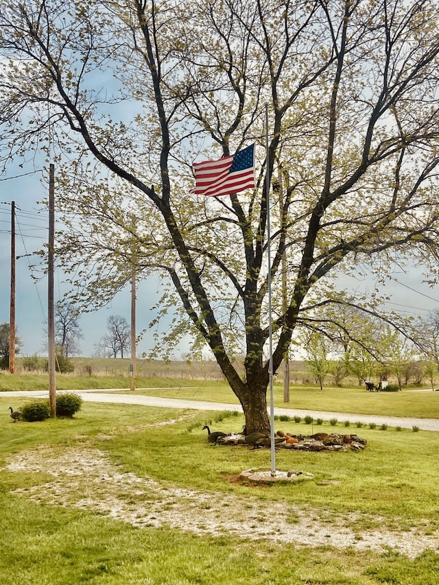 view of home's community featuring a yard