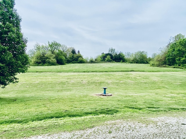 view of property's community with a rural view and a yard