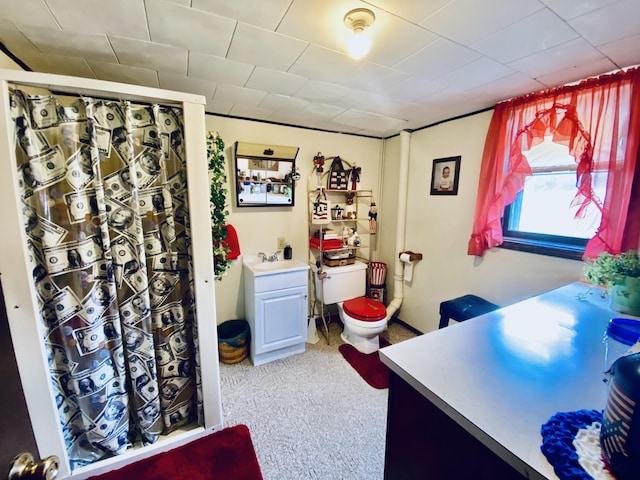 full bathroom with toilet, vanity, and a shower stall