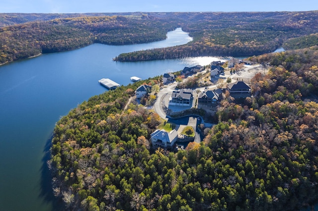 46 Wild Rose Ln, Lampe, MO 65681 - birds eye view of property with a wooded view and a water view