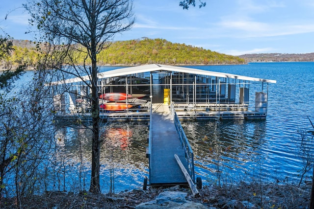 46 Wild Rose Ln, Lampe, MO 65681 - dock area featuring a water view and boat lift