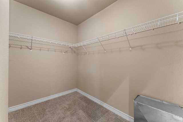 46 Wild Rose Ln, Lampe, MO 65681 - walk in closet featuring carpet flooring