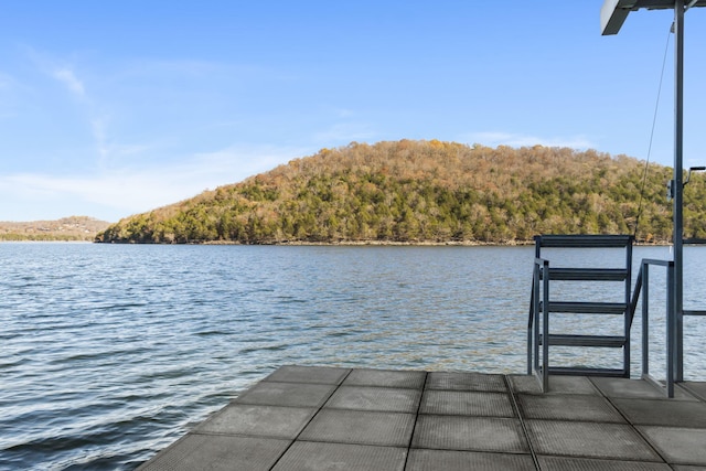 46 Wild Rose Ln, Lampe, MO 65681 - dock area featuring a wooded view and a water view