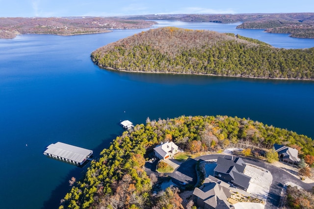 46 Wild Rose Ln, Lampe, MO 65681 - birds eye view of property featuring a wooded view and a water view
