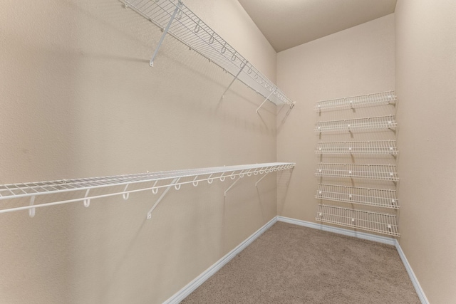 46 Wild Rose Ln, Lampe, MO 65681 - spacious closet with carpet floors