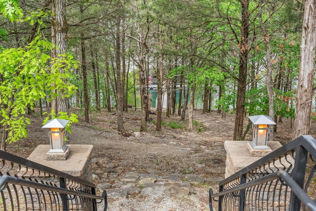 46 Wild Rose Ln, Lampe, MO 65681 - view of yard