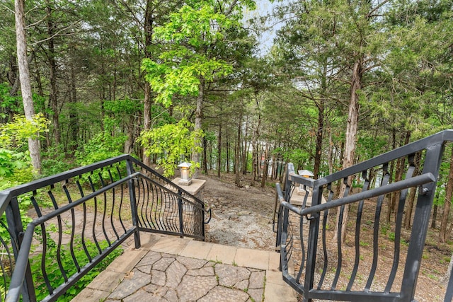 46 Wild Rose Ln, Lampe, MO 65681 - view of gate