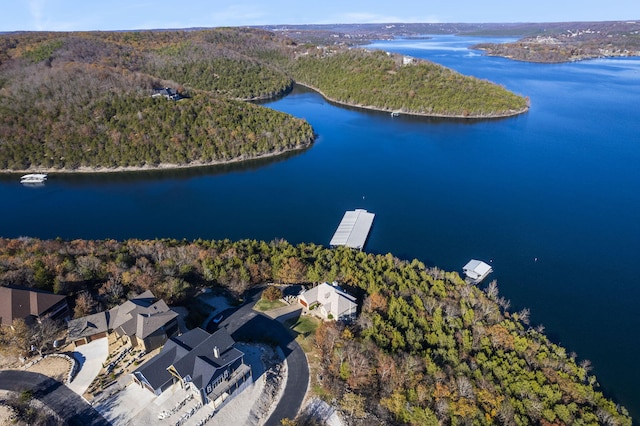 46 Wild Rose Ln, Lampe, MO 65681 - aerial view featuring a water view and a view of trees