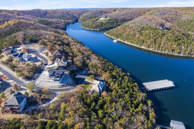 46 Wild Rose Ln, Lampe, MO 65681 - birds eye view of property with a water view and a forest view