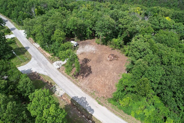 650 Lakeview Dr, Ridgedale, MO 65739 - photo 10