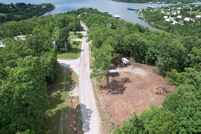 650 Lakeview Dr, Ridgedale, MO 65739 - photo 2