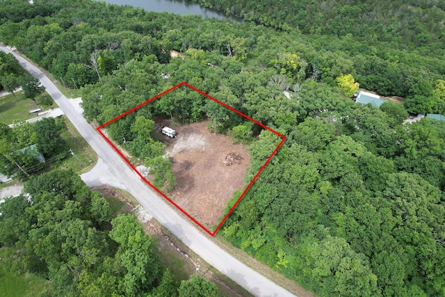 650 Lakeview Dr, Ridgedale, MO 65739 - photo 8