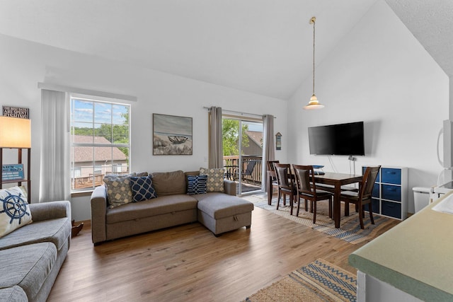 520 Abby Ln Unit 8, Branson, MO 65616 - living room with wood finished floors and high vaulted ceiling