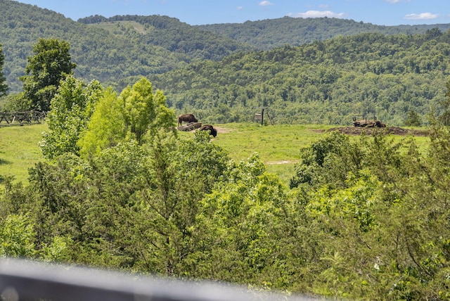 140 S Tuscany Dr Unit C, Hollister, MO 65672 - mountain view with a forest view