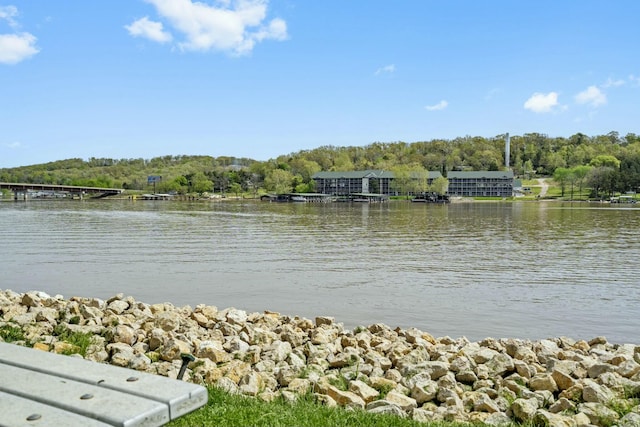 property view of water
