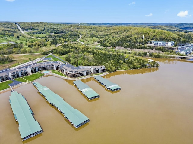 drone / aerial view with a water view and a view of trees