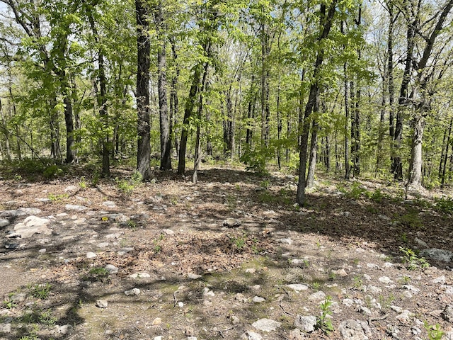view of local wilderness featuring a view of trees