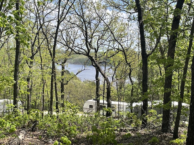 property view of water with a forest view
