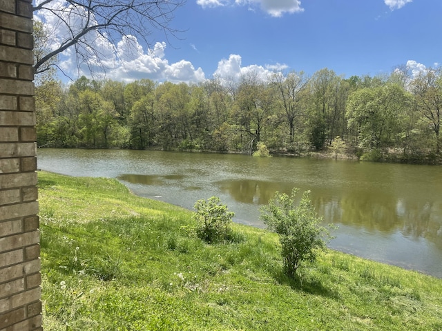 property view of water with a wooded view