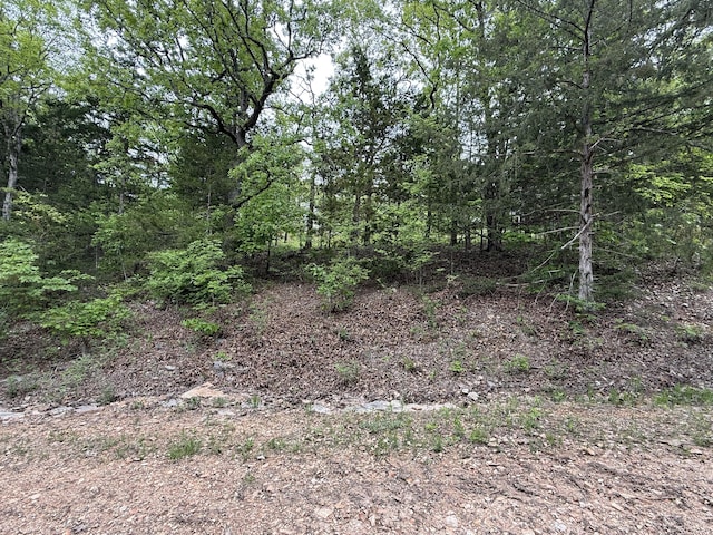 301 Oakview Dr, Ridgedale, MO 65739 - view of local wilderness with a wooded view