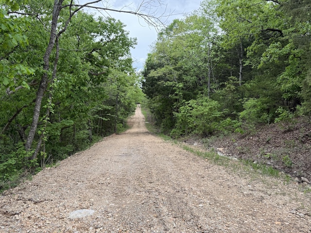301 Oakview Dr, Ridgedale, MO 65739 - view of road with a forest view