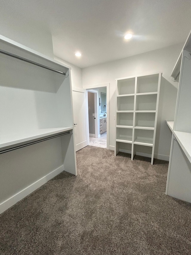 5958 S Clay Ave, Springfield, MO 65810 - walk in closet with carpet flooring