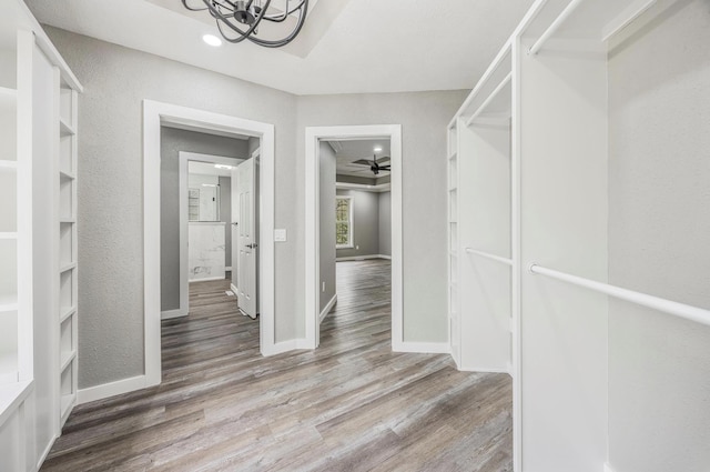 spacious closet featuring wood finished floors and ceiling fan with notable chandelier