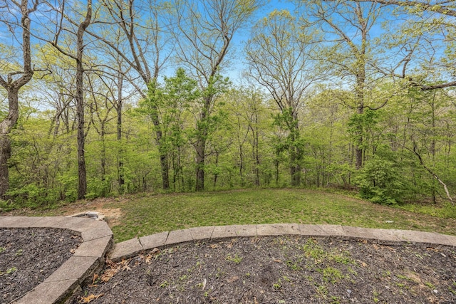 view of yard with a forest view