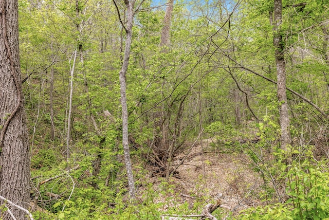view of nature with a forest view