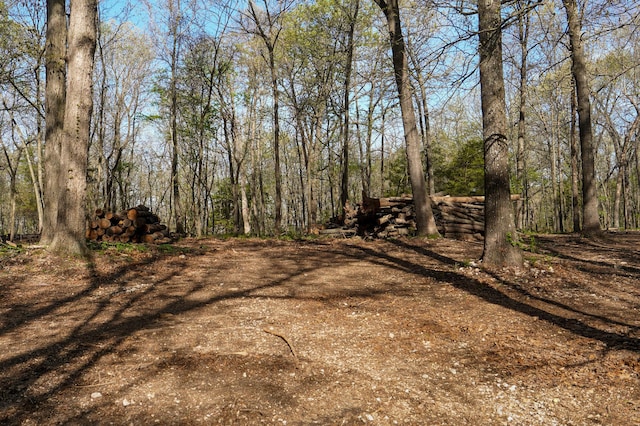 TRACT3 W Farm Road 36, Willard, MO 65781