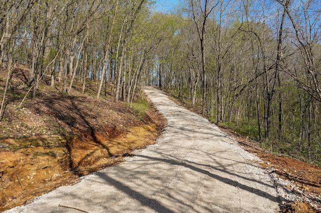 TRACT3 W Farm Road 36, Willard, MO 65781