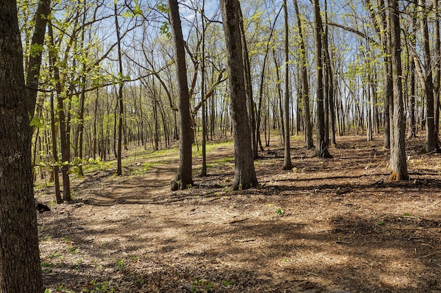 TRACT3 W Farm Road 36, Willard, MO 65781