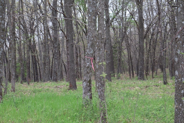 TRACT3 W Farm Road 36, Willard, MO 65781
