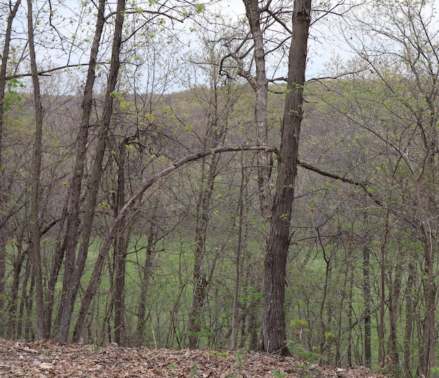 TRACT3 W Farm Road 36, Willard, MO 65781