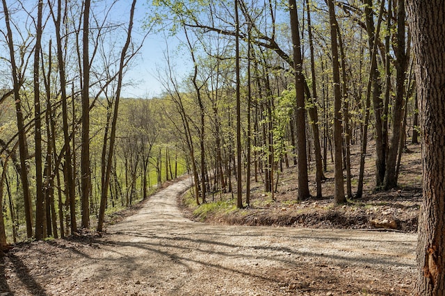 TRACT3 W Farm Road 36, Willard, MO 65781