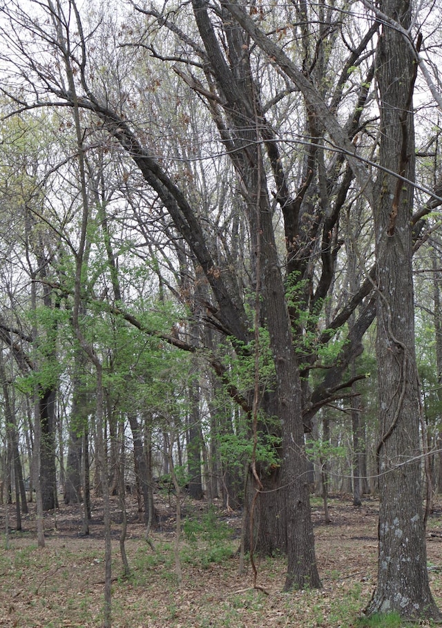 TRACT3 W Farm Road 36, Willard, MO 65781