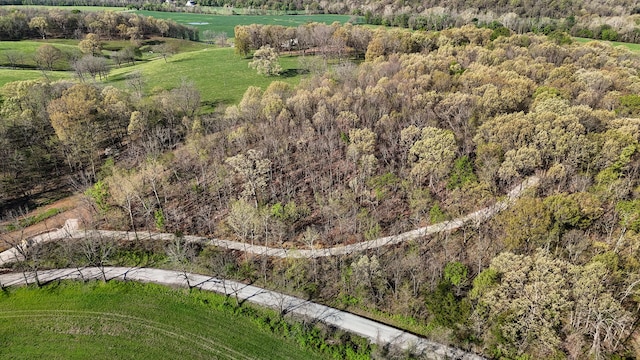TRACT3 W Farm Road 36, Willard, MO 65781