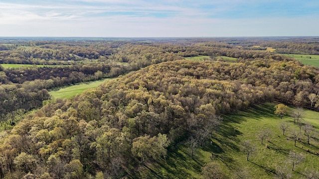 TRACT3 W Farm Road 36, Willard, MO 65781