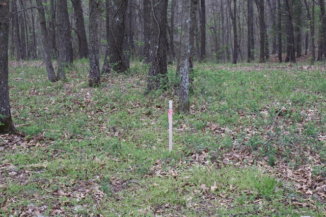 TRACT3 W Farm Road 36, Willard, MO 65781