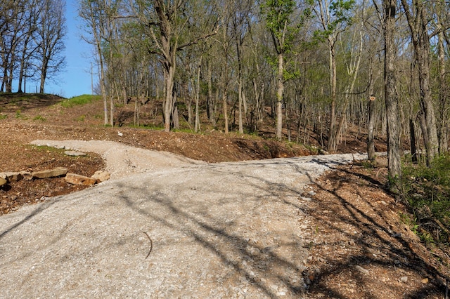 TRACT3 W Farm Road 36, Willard, MO 65781