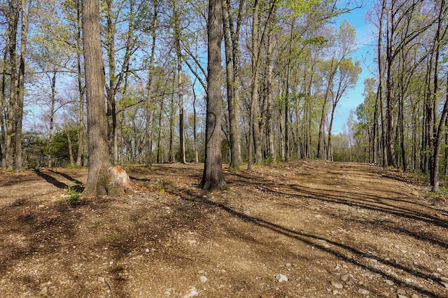TRACT3 W Farm Road 36, Willard, MO 65781