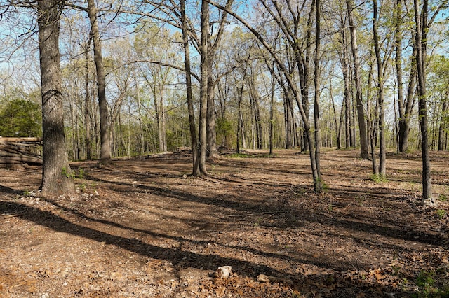 TRACT3 W Farm Road 36, Willard, MO 65781