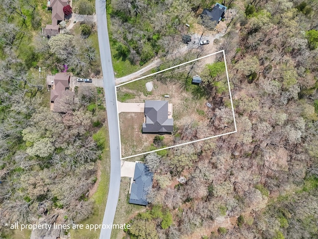 drone / aerial view